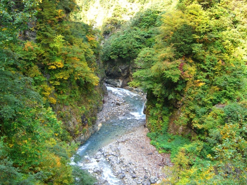 f:id:suzukidesu23:20140921211256j:plain