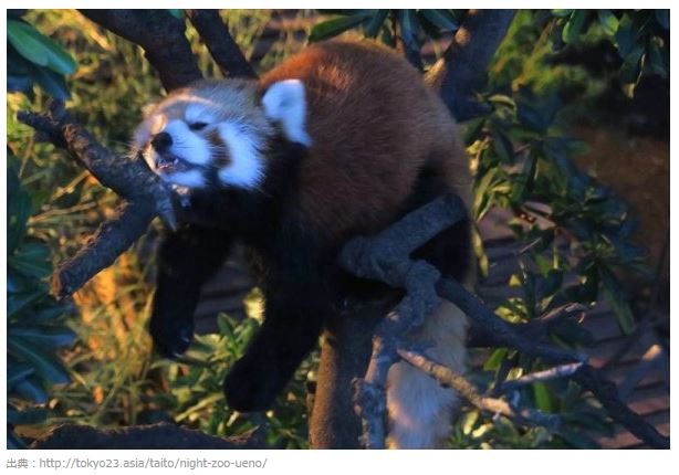 f:id:suzukidesu23:20161210121800j:plain