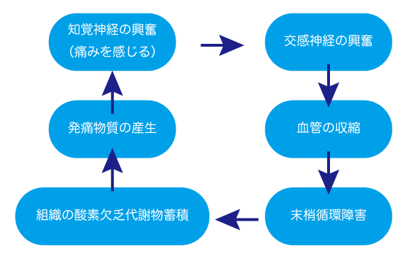 f:id:suzukiholistic:20160831152204p:plain f:id:suzukiholistic:20160831152204p:plain