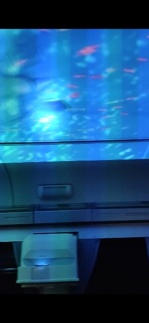f:id:suzuking9050:20200823192058j:image f:id:suzuking9050:20200823192058j:image