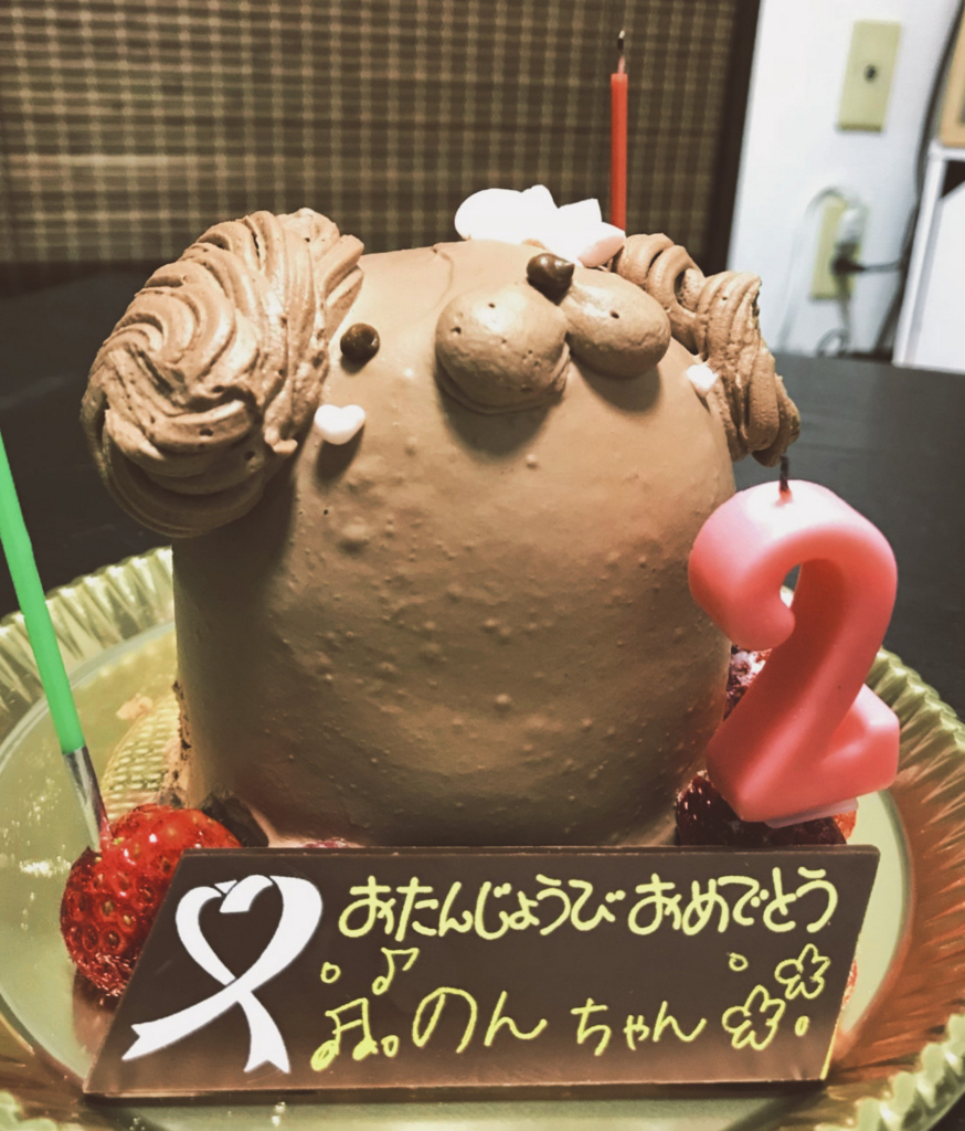 f:id:suzukinosuri:20180228192021j:plain f:id:suzukinosuri:20180228192021j:plain