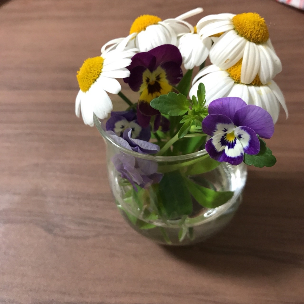 f:id:suzukinosuri:20180320204102j:plain f:id:suzukinosuri:20180320204102j:plain