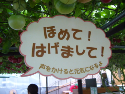 f:id:suzukishika:20090823214458j:image