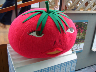 f:id:suzukishika:20090823214459j:image