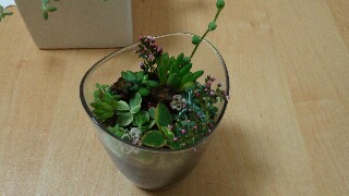 f:id:suzukko519:20160926150627j:image f:id:suzukko519:20160926150627j:image