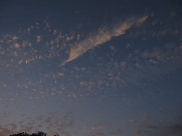 f:id:suzukokage:20140926175558j:plain