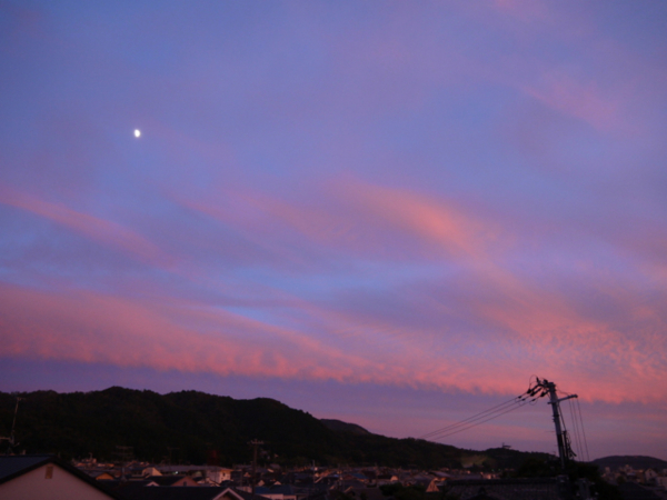 f:id:suzukokage:20141004175638j:plain