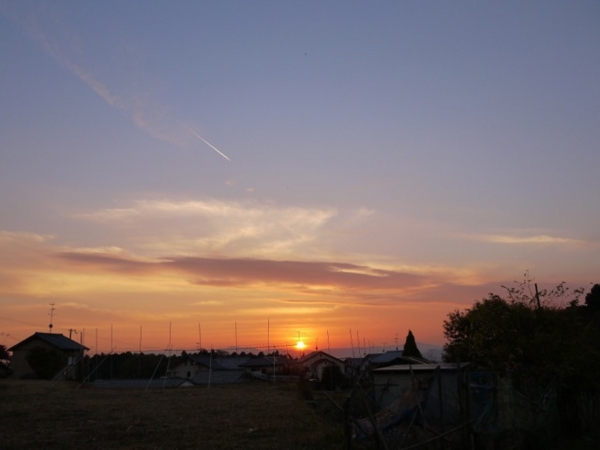 f:id:suzukokage:20141124164801j:plain