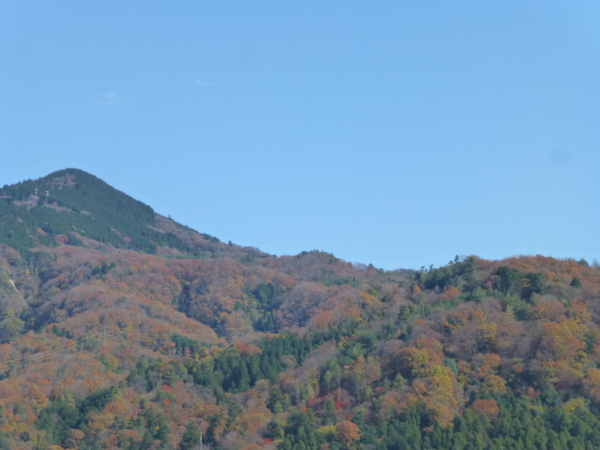 f:id:suzukokage:20141130115139j:plain