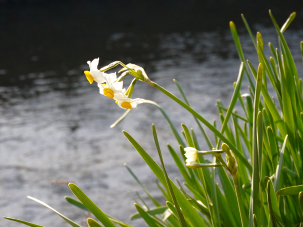 f:id:suzukokage:20150105152033j:plain