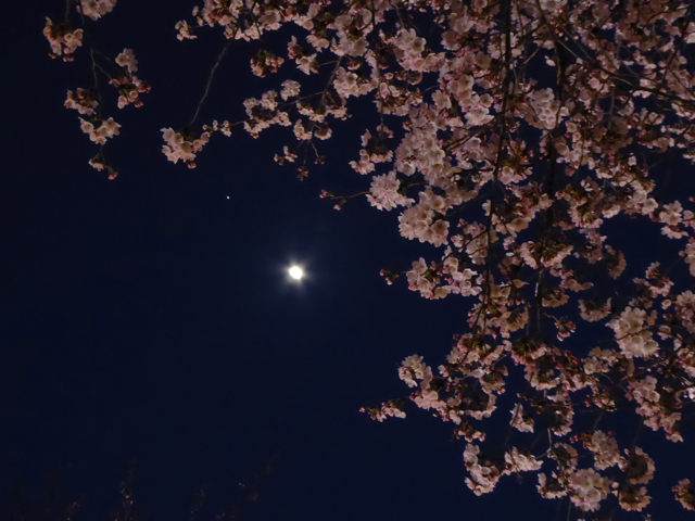 f:id:suzukokage:20150330184906j:plain