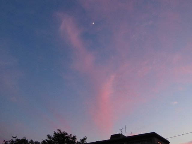 f:id:suzukokage:20150524190903j:plain