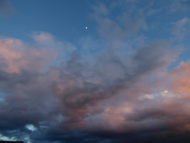 f:id:suzukokage:20160118170729j:plain