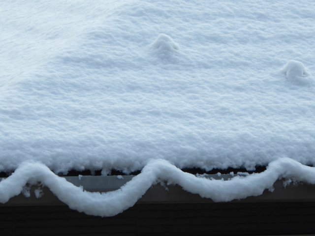 f:id:suzukokage:20160301084145j:plain