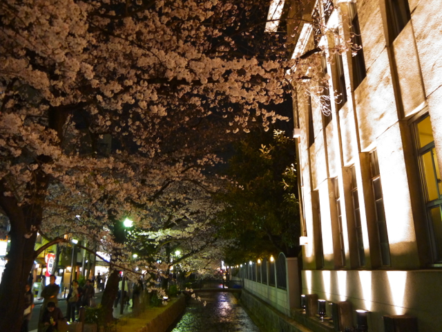 f:id:suzukokage:20160331205637j:plain