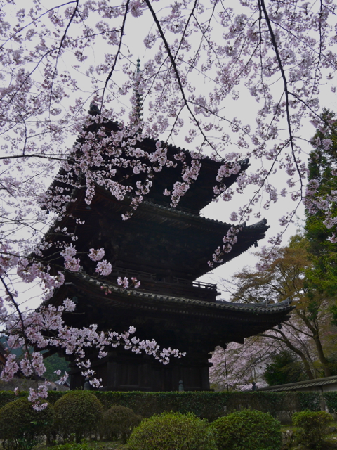 f:id:suzukokage:20160403114312j:plain