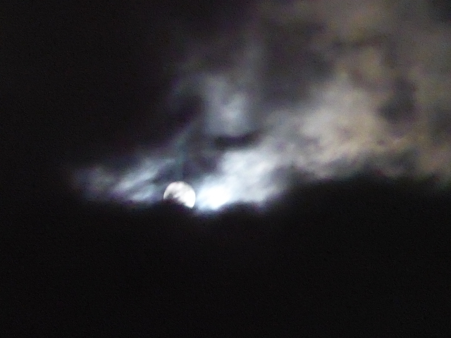 f:id:suzukokage:20161115203105j:plain