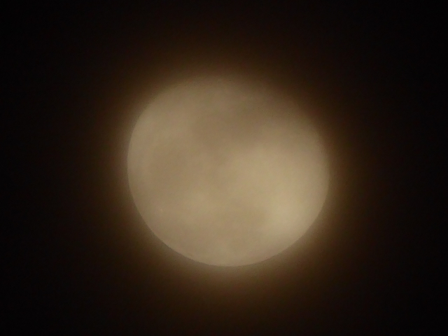 f:id:suzukokage:20161116210019j:plain