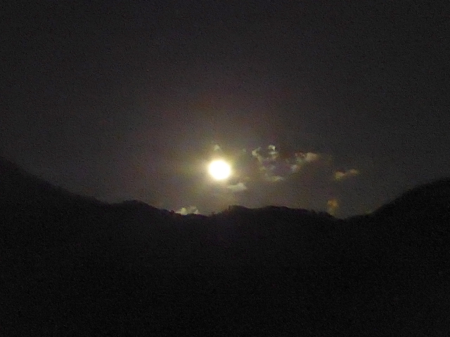 f:id:suzukokage:20161117205532j:plain