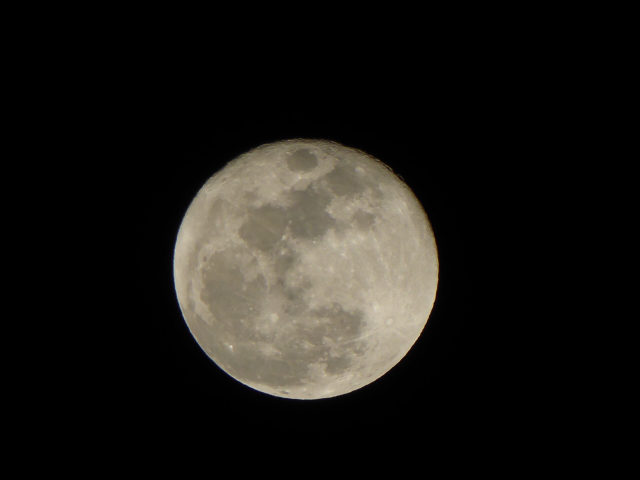 f:id:suzukokage:20170113204125j:plain