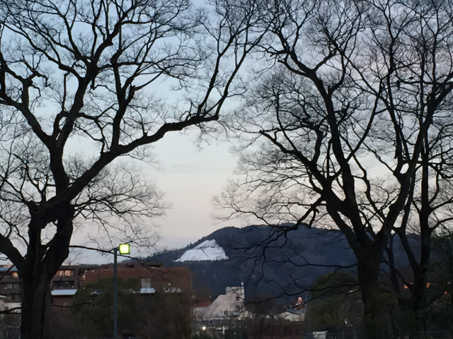 f:id:suzukokage:20170118171028j:plain