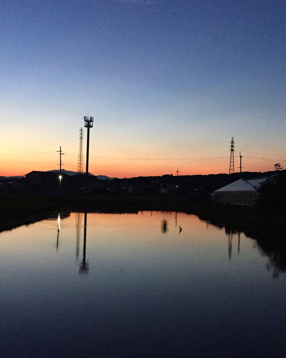 f:id:suzukokage:20190804194809j:plain