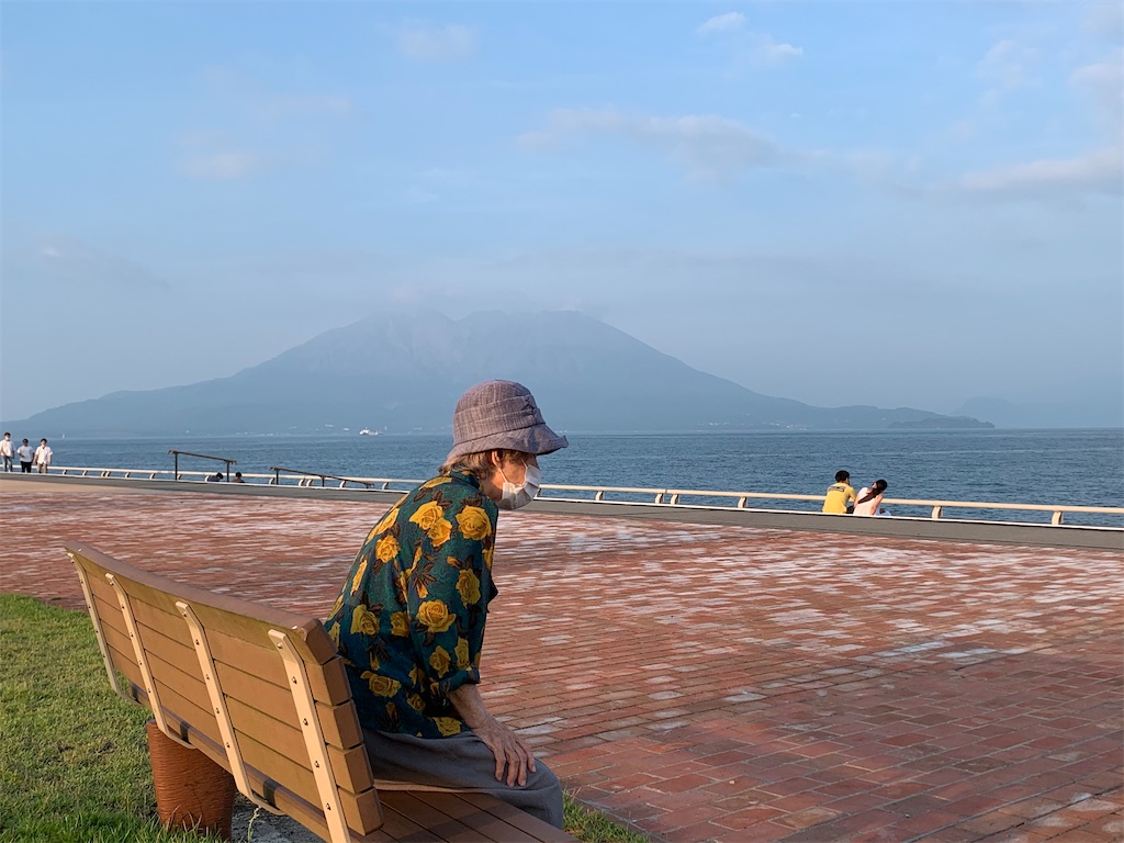 f:id:suzukousyunn:20200829083437j:image