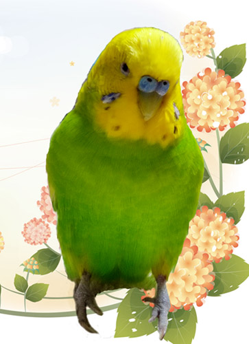 f:id:suzumame:20210321235406j:plain