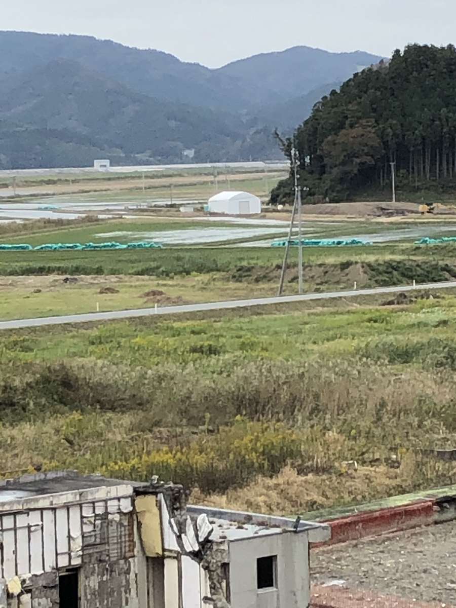 f:id:suzumaro:20200224231338j:plain