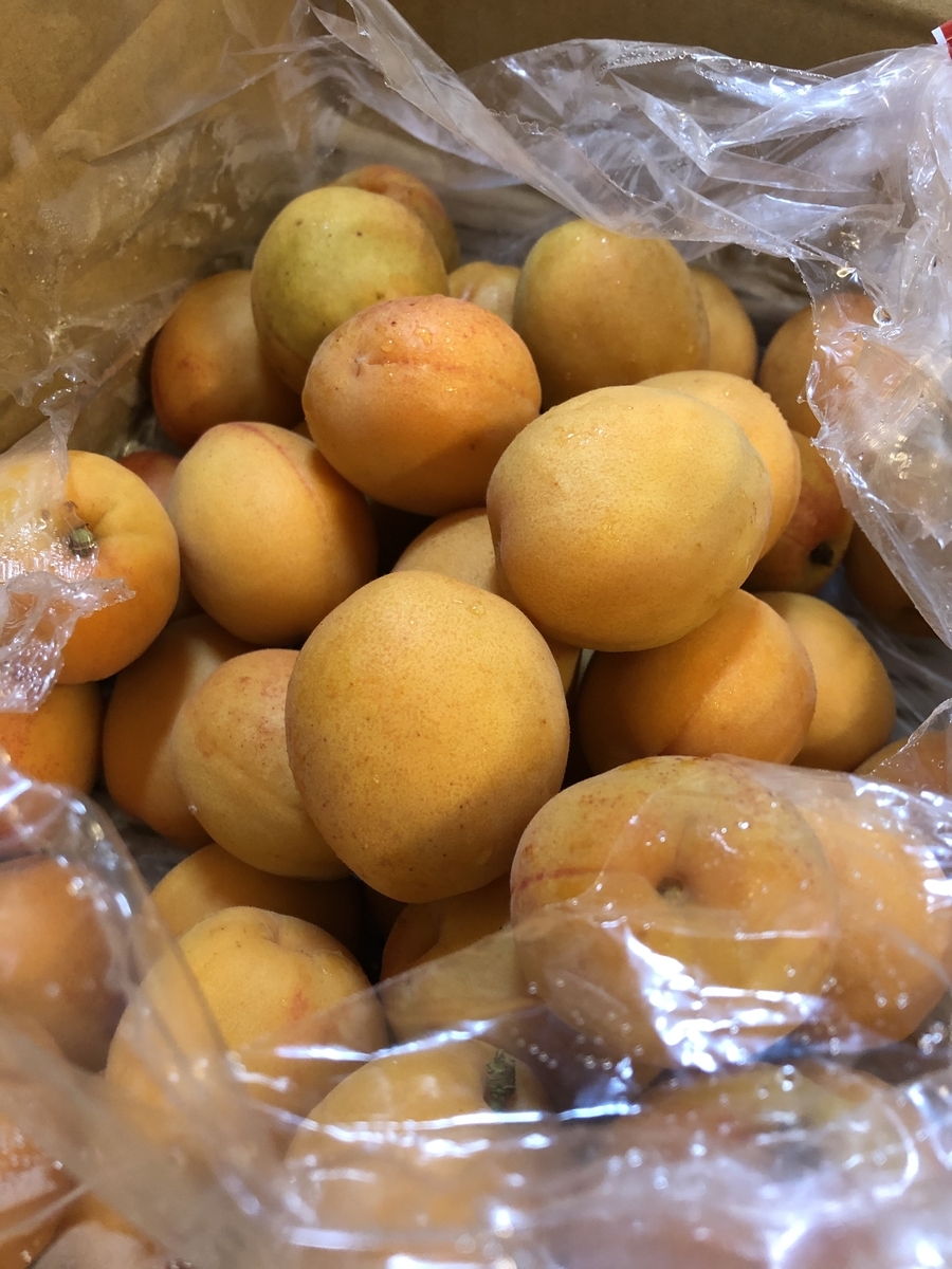 f:id:suzumaro:20210630125810j:plain