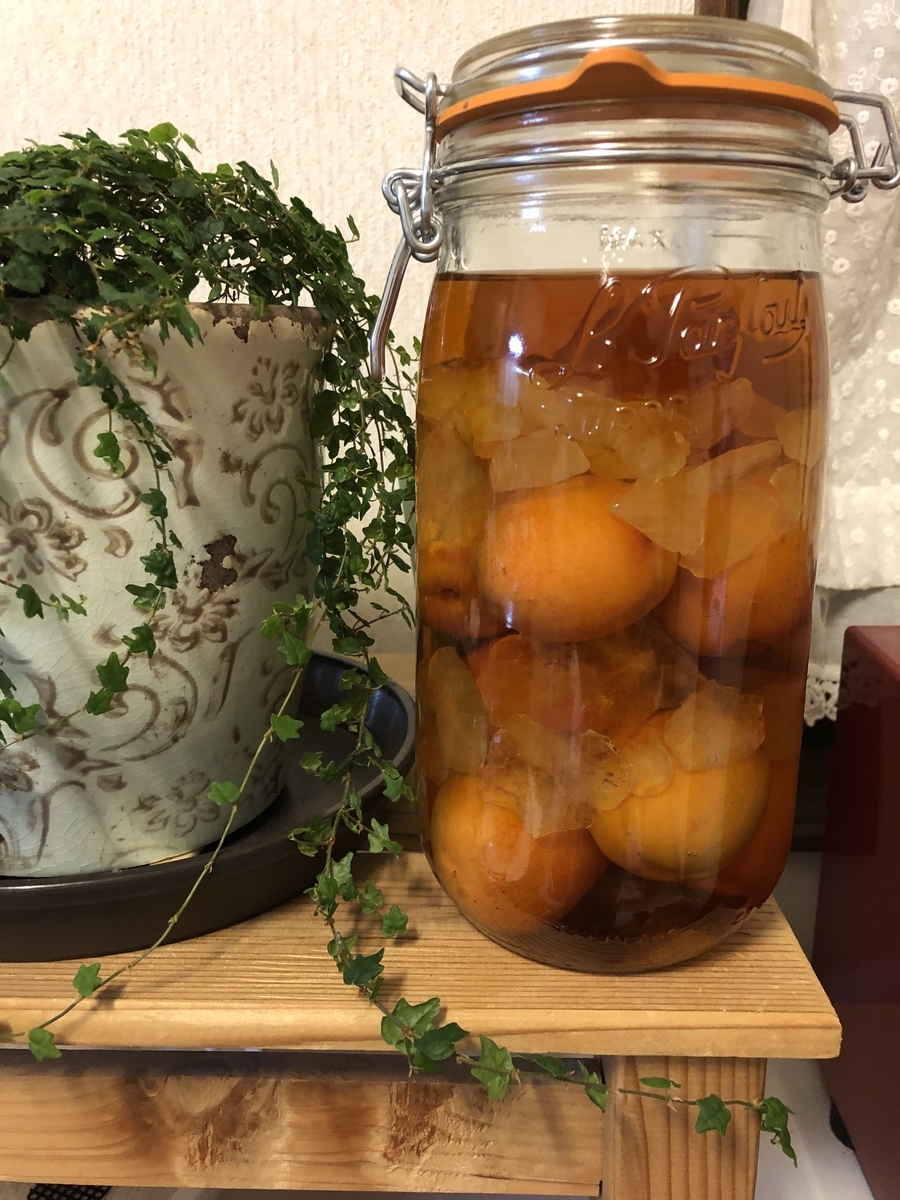 f:id:suzumaro:20210630130248j:plain