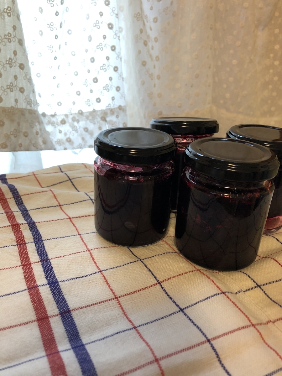 f:id:suzumaro:20210630130321j:plain