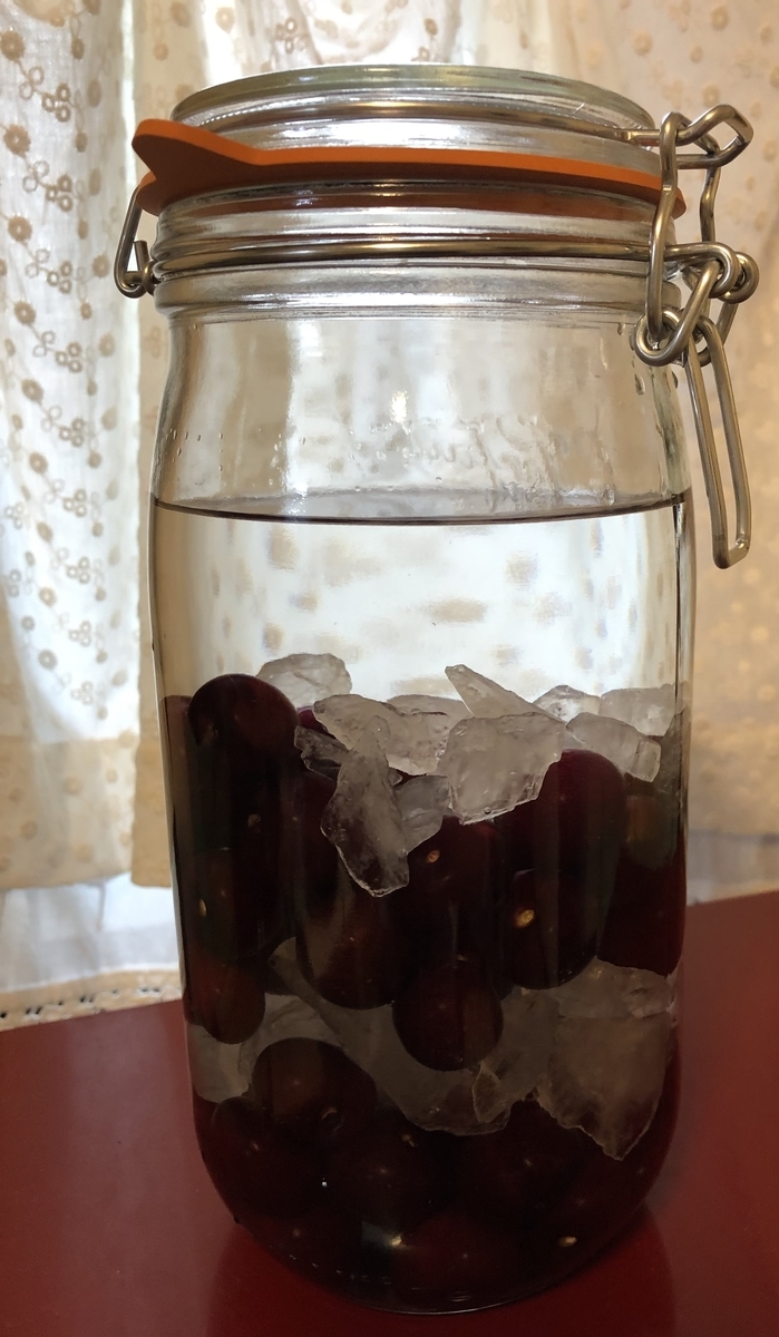 f:id:suzumaro:20210630130345j:plain