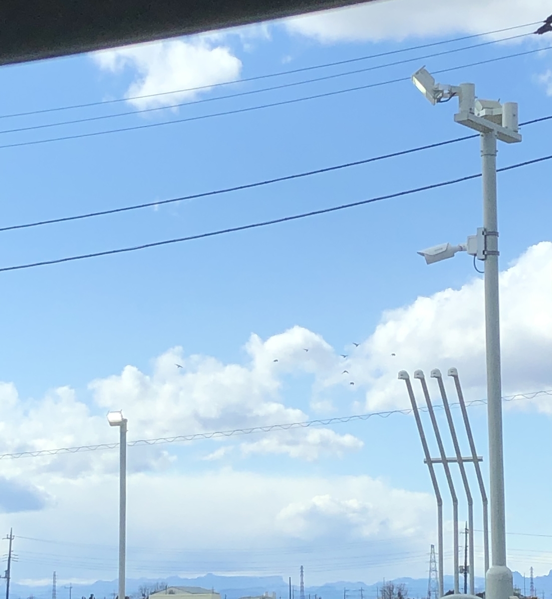 f:id:suzumaro:20220220160843j:plain