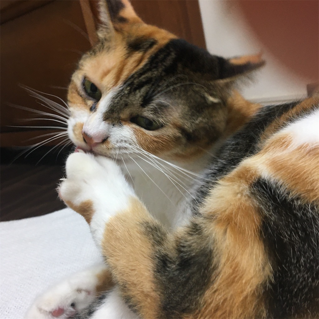 f:id:suzume68:20211008123536j:image f:id:suzume68:20211008123536j:image