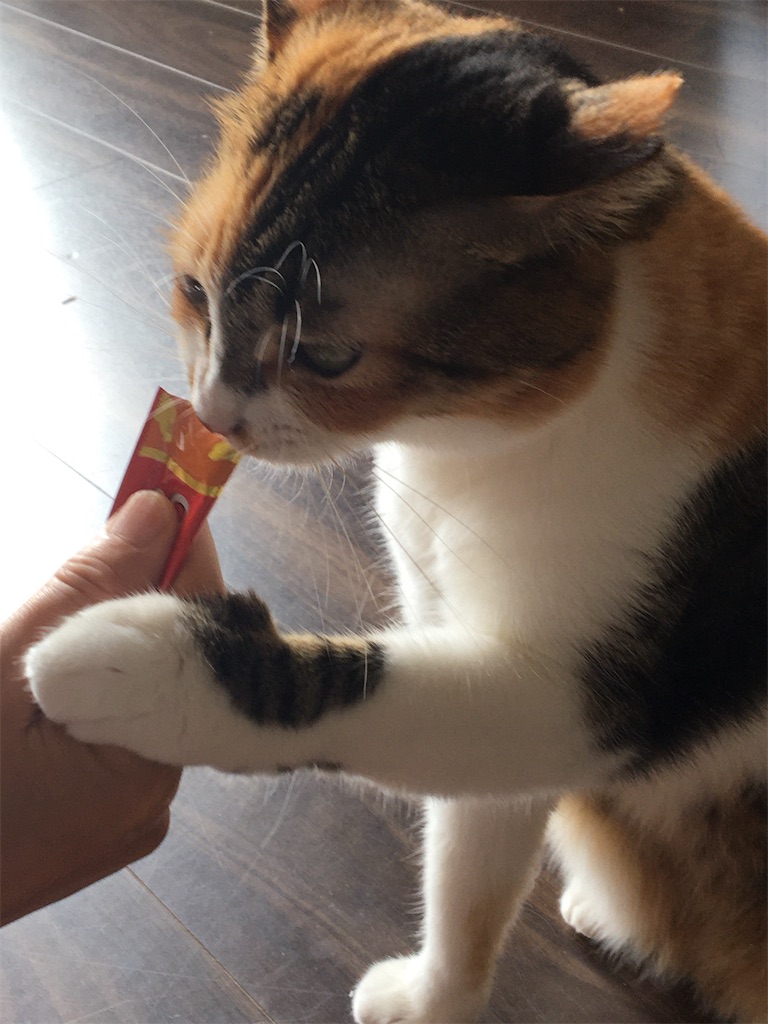 f:id:suzume68:20211013155611j:image f:id:suzume68:20211013155611j:image