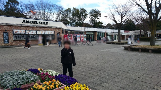f:id:suzumenohakama:20190105001037j:image f:id:suzumenohakama:20190105001037j:image