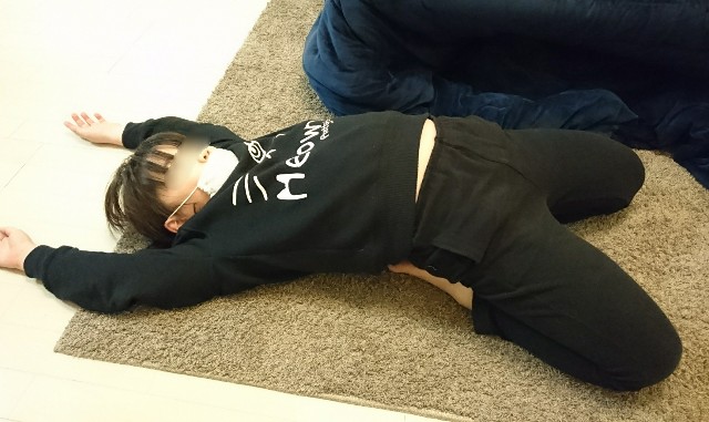 f:id:suzumenohakama:20190214131351j:image f:id:suzumenohakama:20190214131351j:image