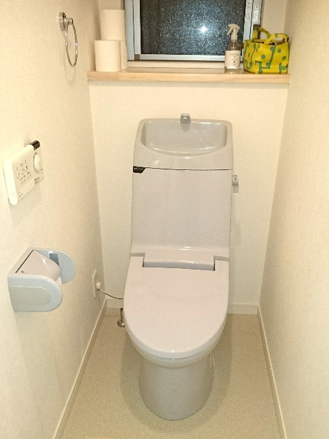 運気が下がっている時は トイレ掃除 穏やかに捨てる日記