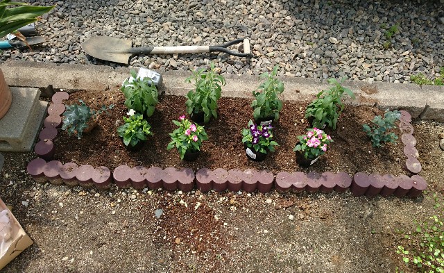 f:id:suzumenohakama:20190503223906j:image f:id:suzumenohakama:20190503223906j:image