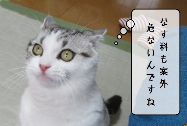 f:id:suzumesuzume:20180713142414j:plain