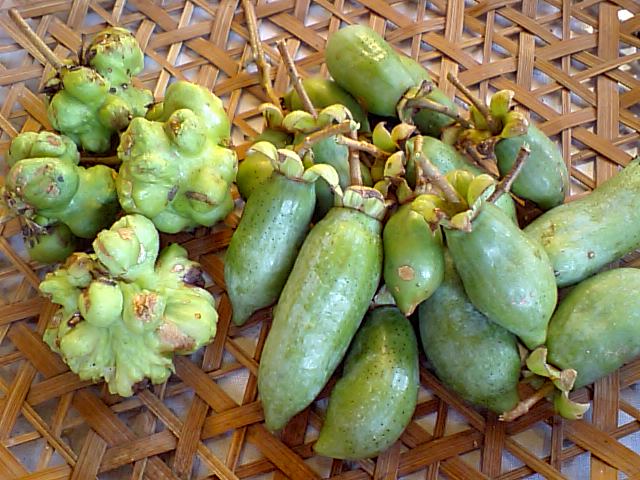 f:id:suzumesuzume:20180719171027j:plain