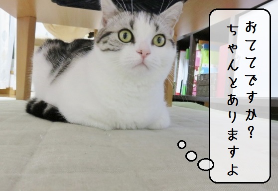 f:id:suzumesuzume:20180720154309j:plain f:id:suzumesuzume:20180720154309j:plain