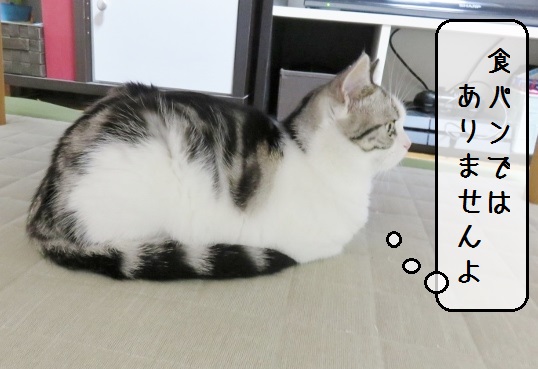 f:id:suzumesuzume:20180720154405j:plain f:id:suzumesuzume:20180720154405j:plain