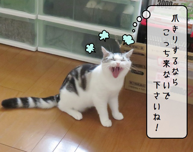 f:id:suzumesuzume:20180723143041j:plain f:id:suzumesuzume:20180723143041j:plain