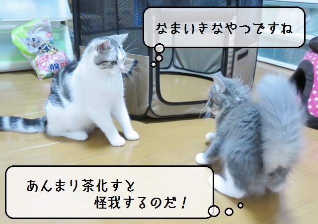 f:id:suzumesuzume:20180822130356j:plain