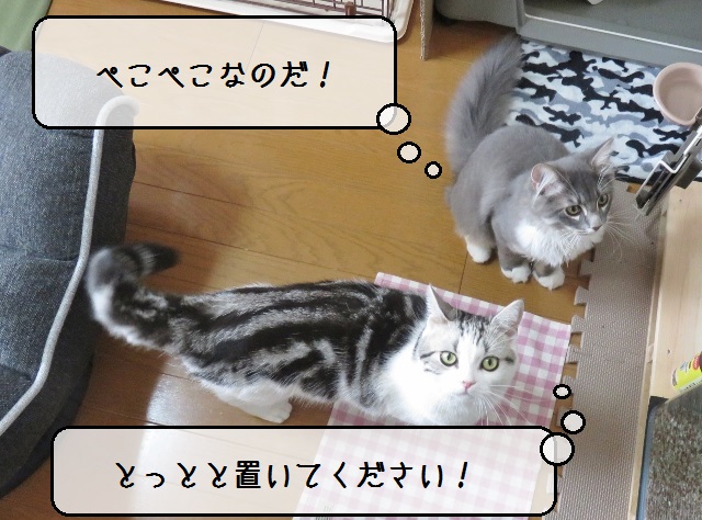 f:id:suzumesuzume:20180918134532j:plain