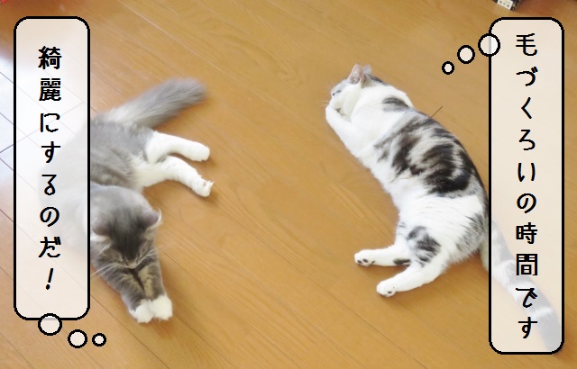 f:id:suzumesuzume:20180918134833j:plain