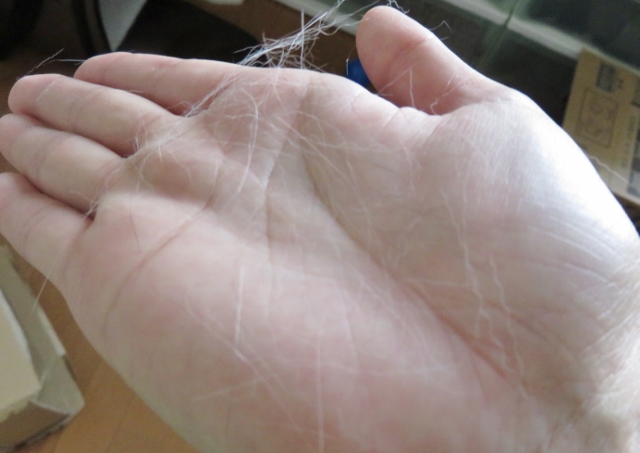 f:id:suzumesuzume:20180929160218j:plain f:id:suzumesuzume:20180929160218j:plain