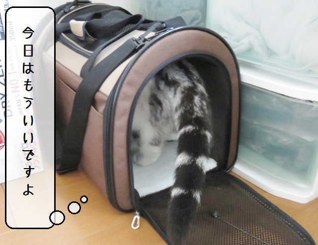 f:id:suzumesuzume:20180929160255j:plain f:id:suzumesuzume:20180929160255j:plain